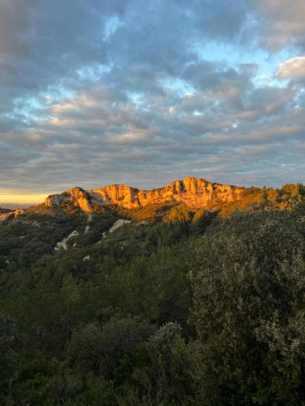 Mas De Charme Au Pied Des Alpilles 호텔 마우세인레알파일즈 외부 사진
